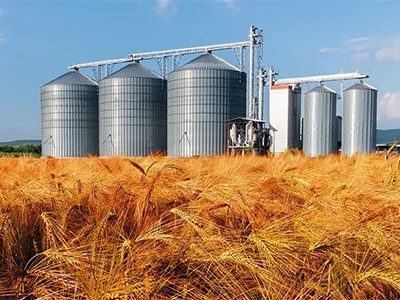 Industria de granos sólidos y polvos
